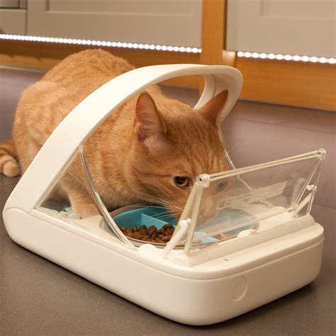 microchip food bowl for cats